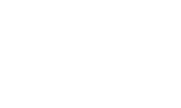 Toyo densetsu industry